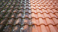 Roof Moss Removal