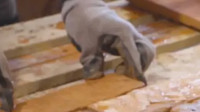 Brick Slip Cutting