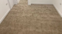 Carpet Services