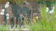 Garden Inspiration