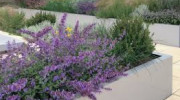 Jordan Garden Design