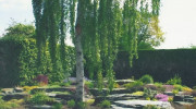 AWE Inspired Landscapes