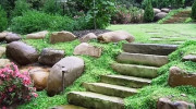 Devon Tree & Landscaping Services