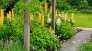 Avalon Landscapes & Design