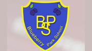 Blueberry Park