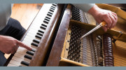 Colin Brown Piano Tuner