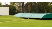 Cricket Covers