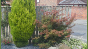 Oaktree Landscapes